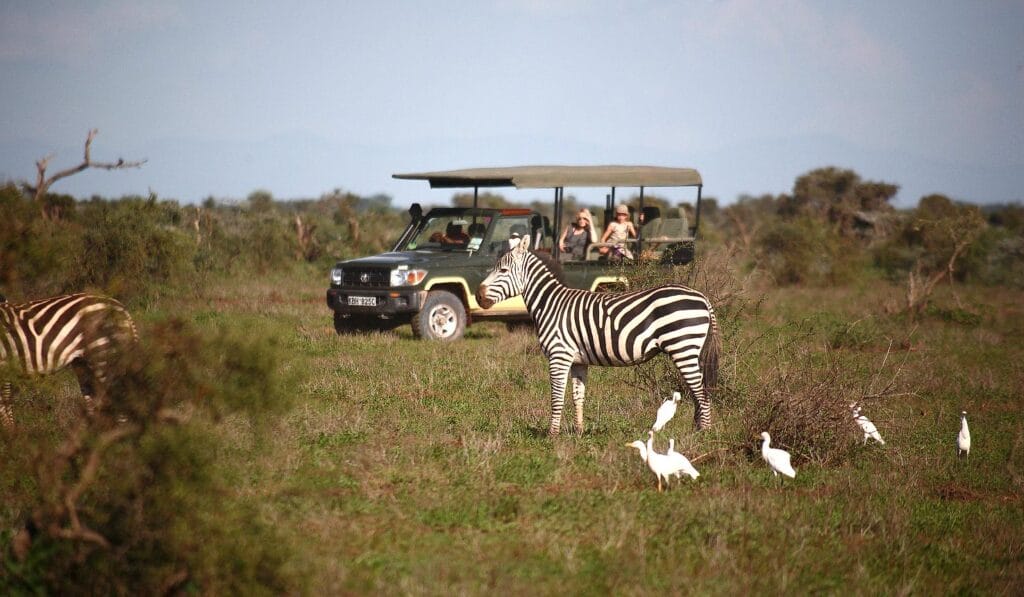 Game drive in Amboseli