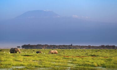 Spotting elephants against the backdrop of Mount Kilimanjaro on a bush to beach safari in Kenya