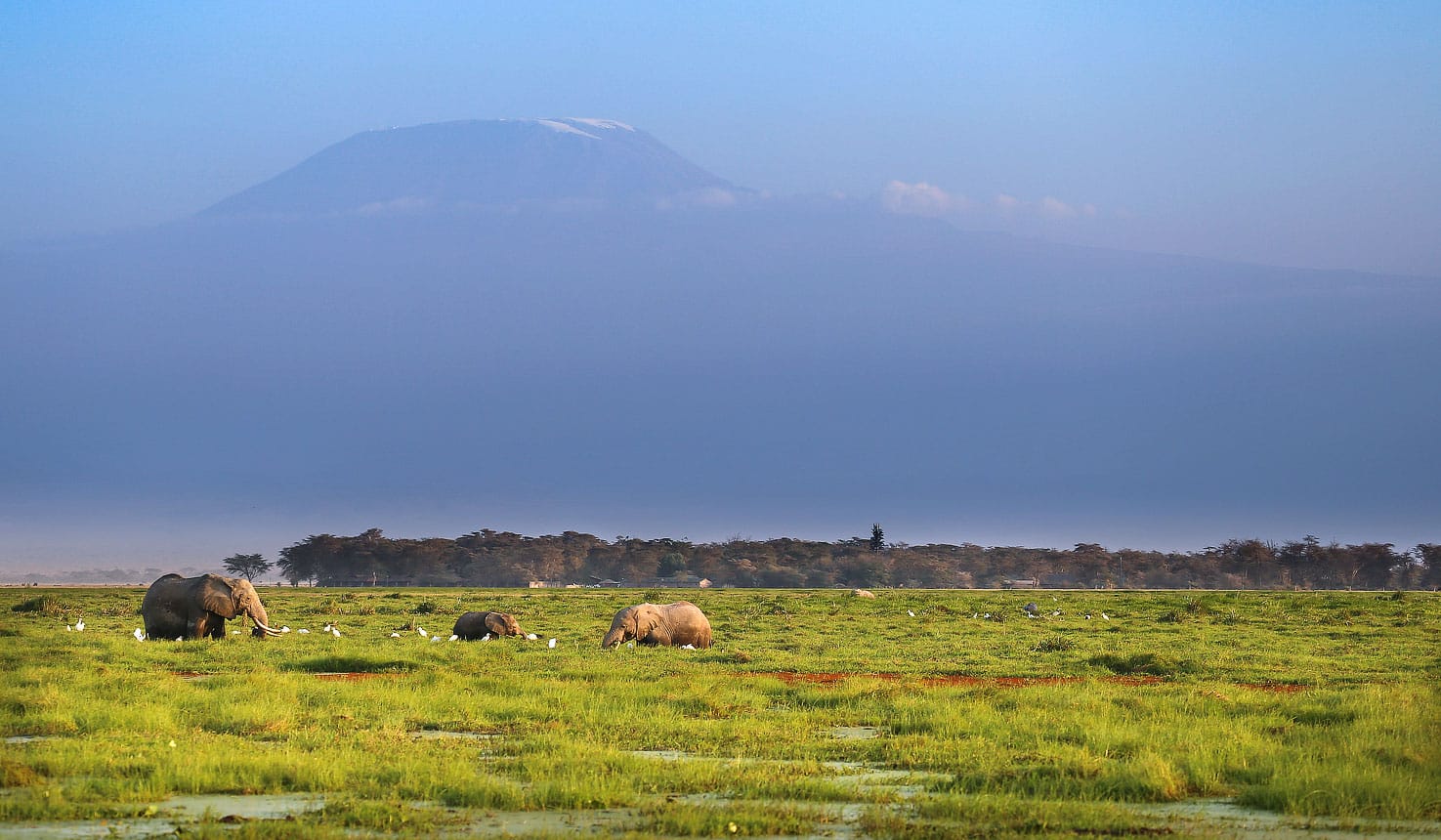 Spotting elephants against the backdrop of Mount Kilimanjaro on a bush to beach safari in Kenya