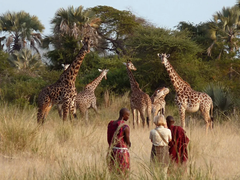 Guest with maasai guides on a walking safari in Tanzania on a Family Safari